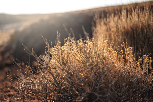 Venture RV SportTrek Touring Edition Luxury Travel Trailer Camping