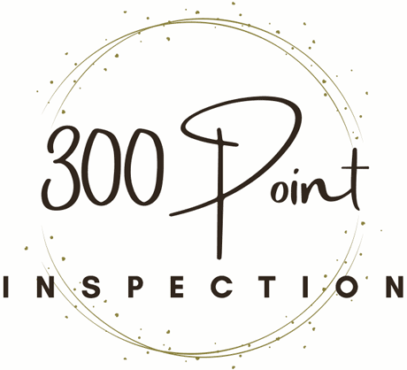 Venture RV 300 Point Inspection