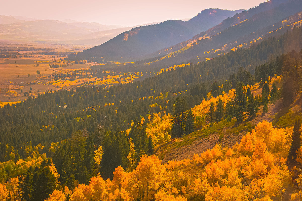 Jackson Hole Wyoming in Fall