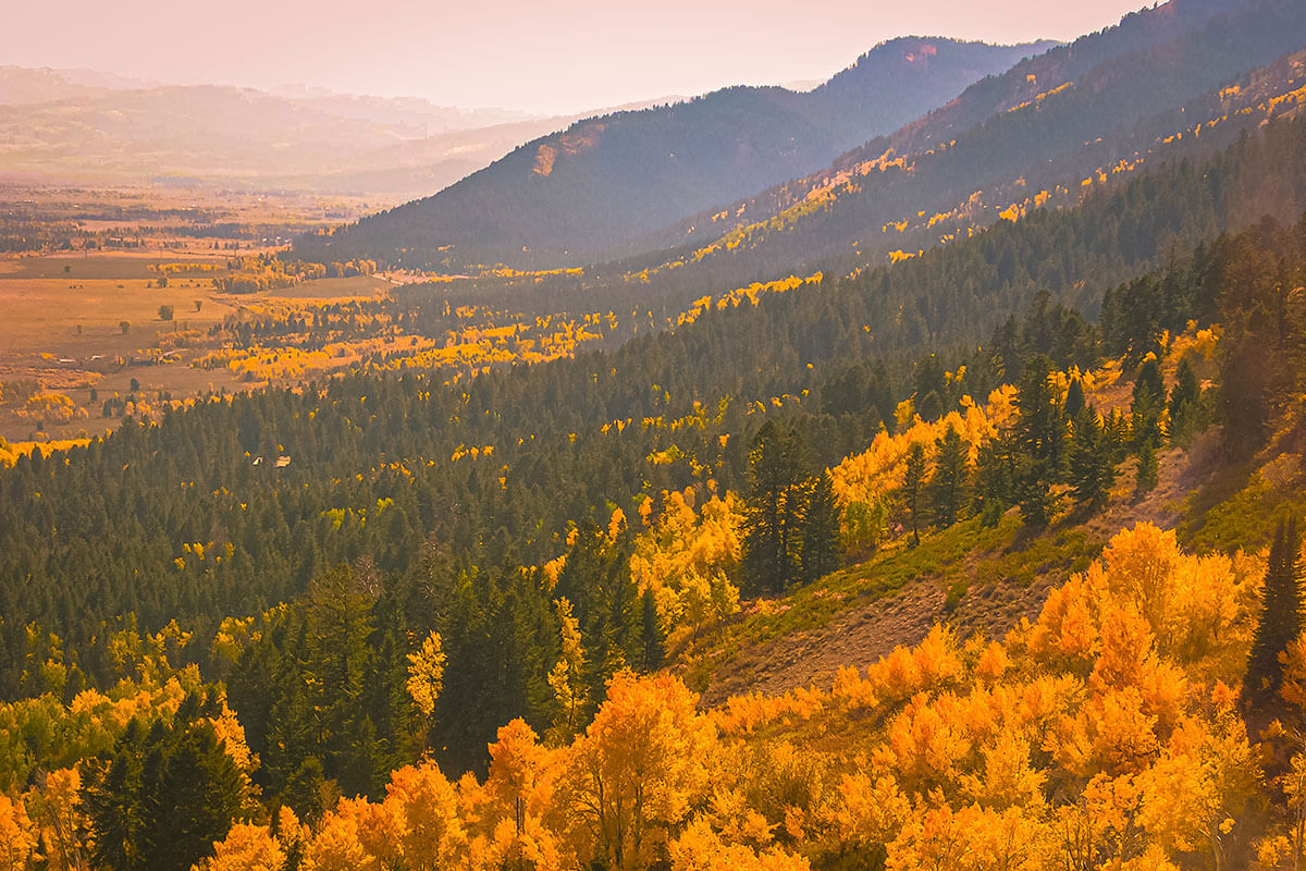 Fall In Jackson Hole 🍁🍂, Fall Fashion